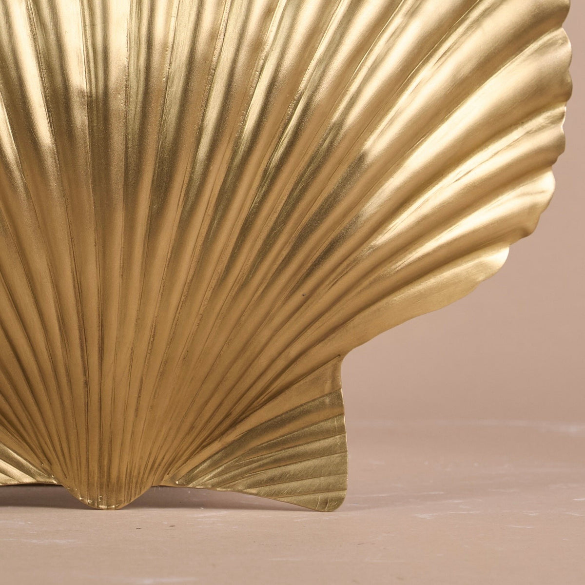 Coquille Santiago  - Symbole